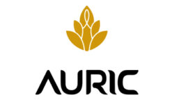 Auric