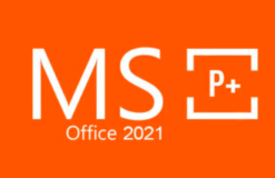 MS Office 2021 Professional Plus