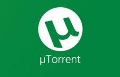utorrent