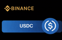 Binance USDC