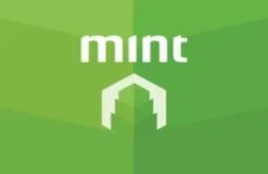 Mint Prepaid Card