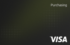 Optio Prepaid Visa