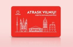 Vilniaus miestas
