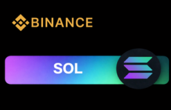 Binance SOL